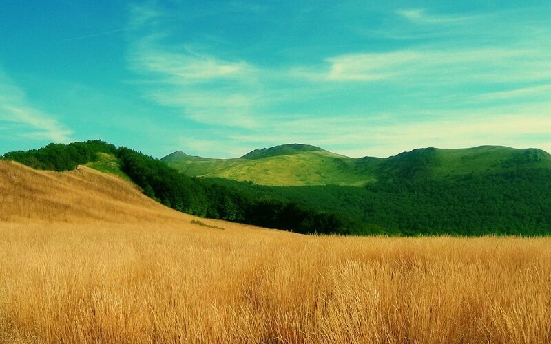 Golden field with green hills