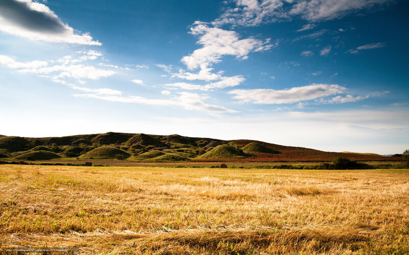 Golden Field with Hills — Blue