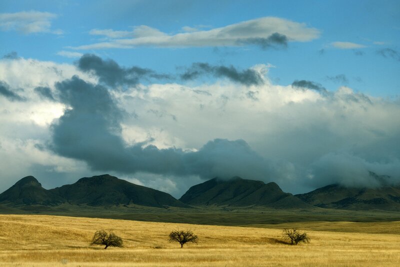 Golden Field with Mountains — Blue