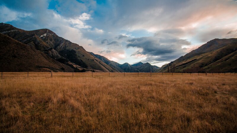 Golden Field with Mountains — Brown