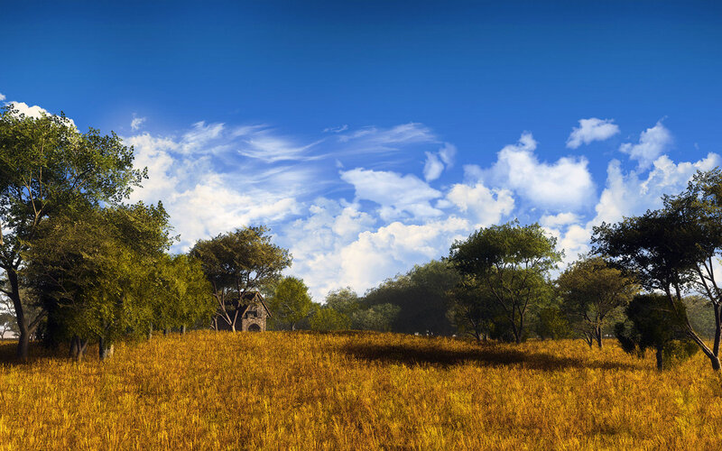 Golden field with small house