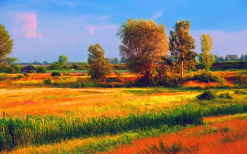 Golden Field with Trees — Yellow