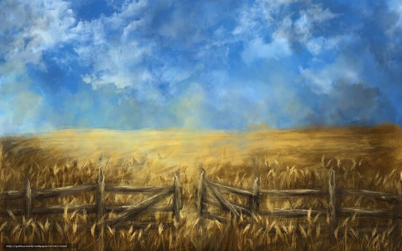 Golden Field with Wooden Fence