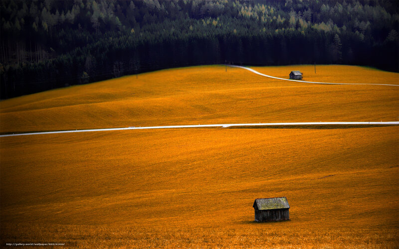 Golden Fields and Forests