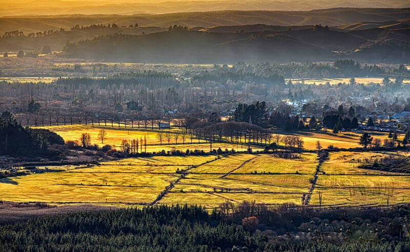 Golden Fields at Sunrise — Gold