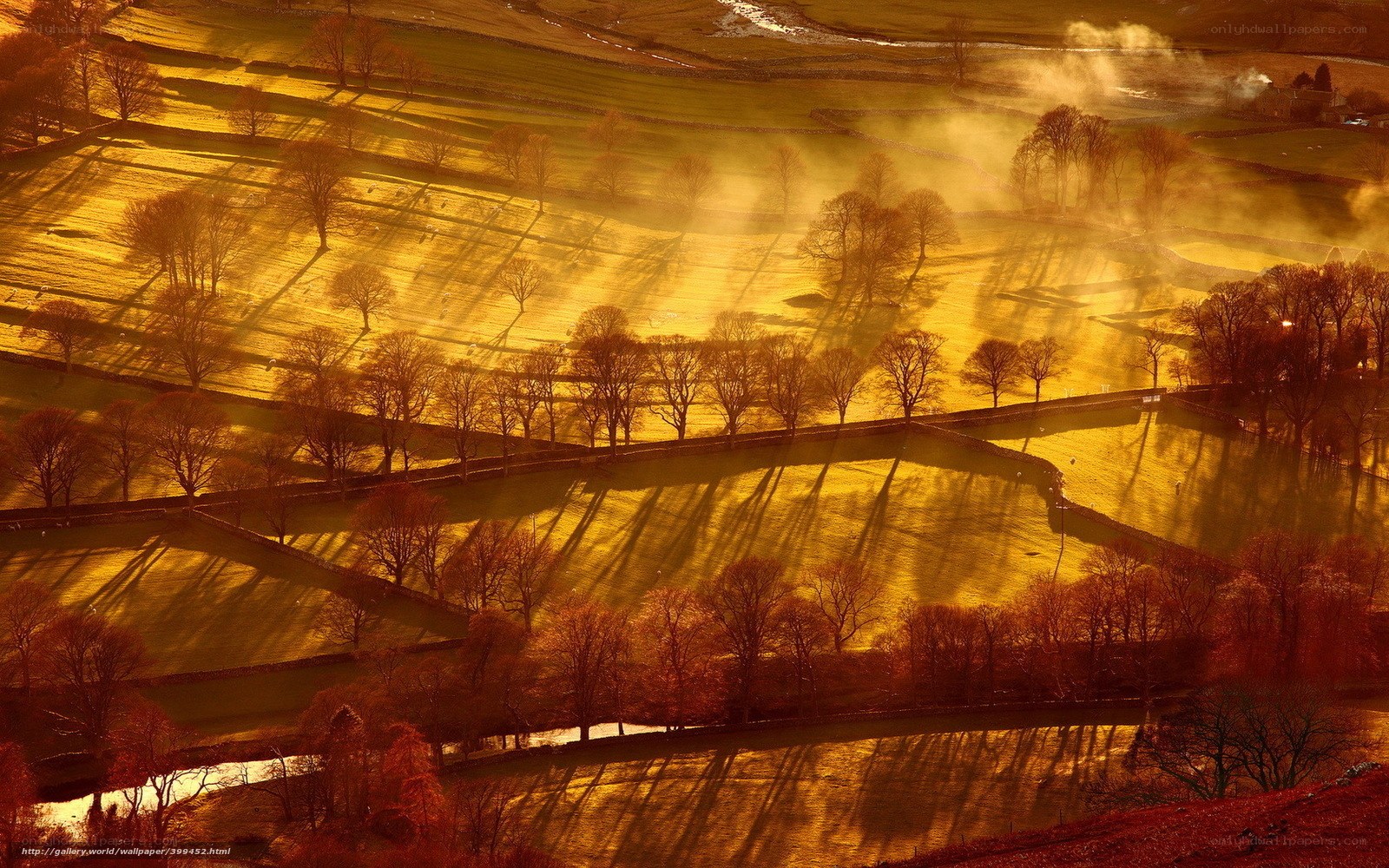 Golden Fields at Sunrise