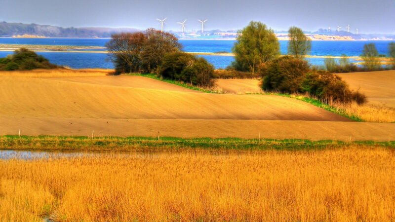 Golden Fields by Sea