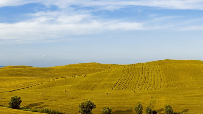 Golden Fields with Hay Bales — Yellow