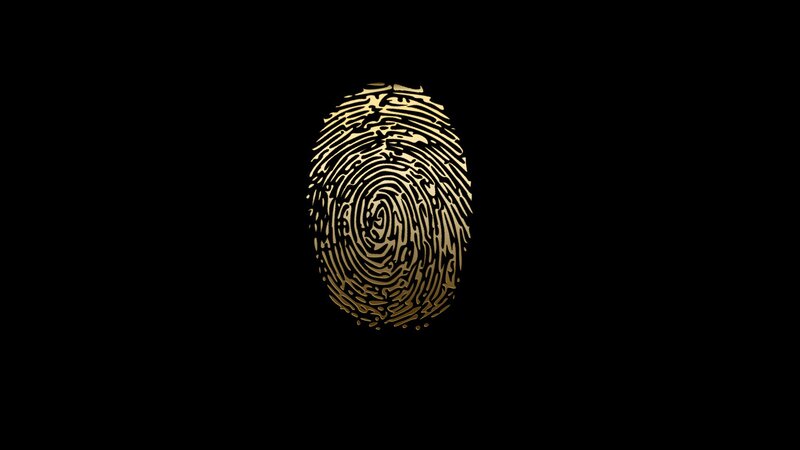 Golden Fingerprint