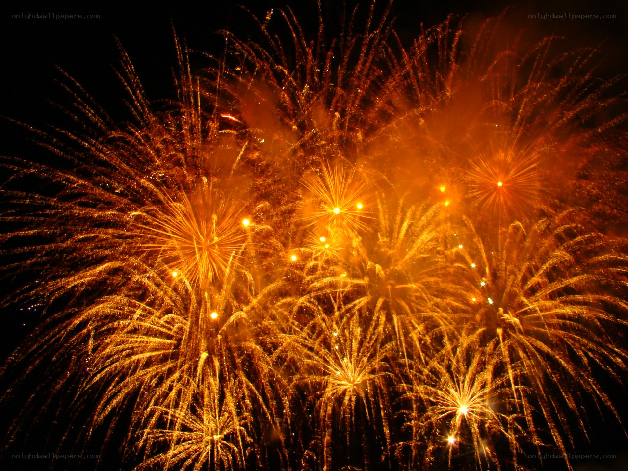 Golden fireworks display