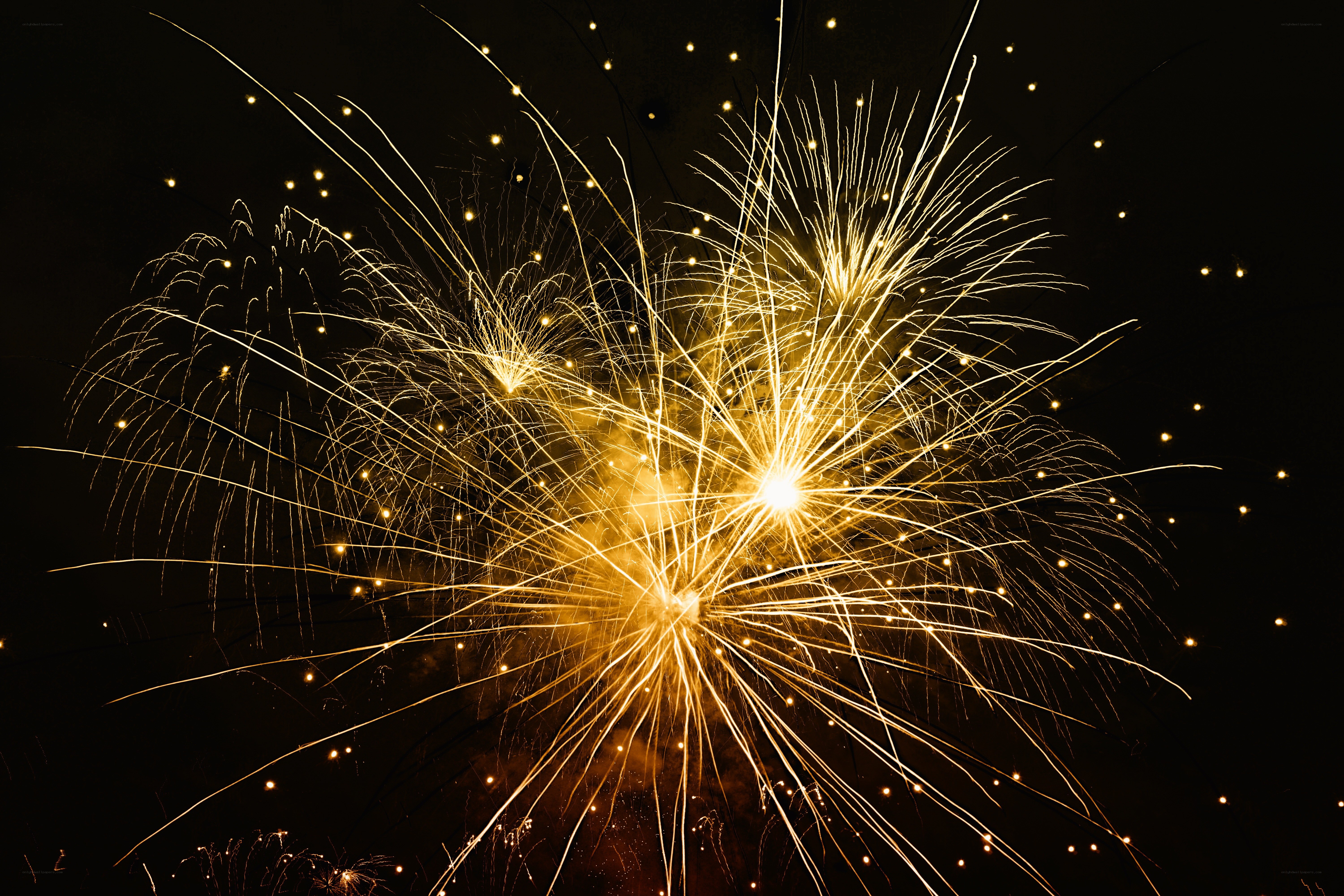 Golden fireworks display