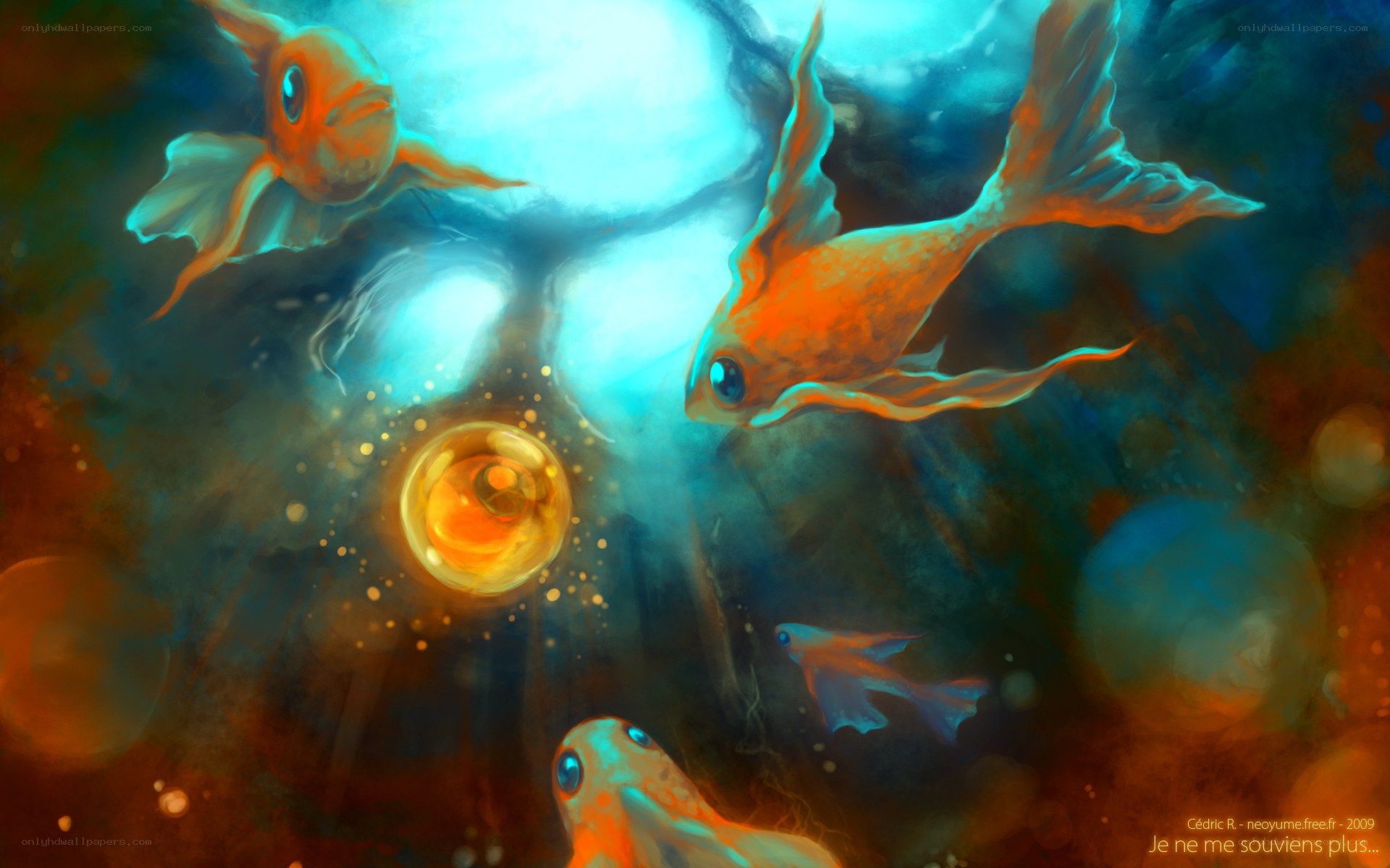 Golden fish in a dream