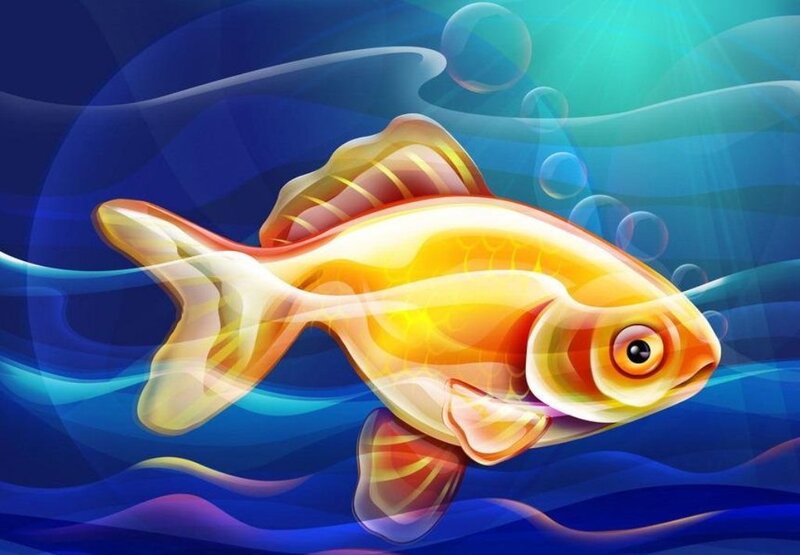 Golden fish swimming underwater