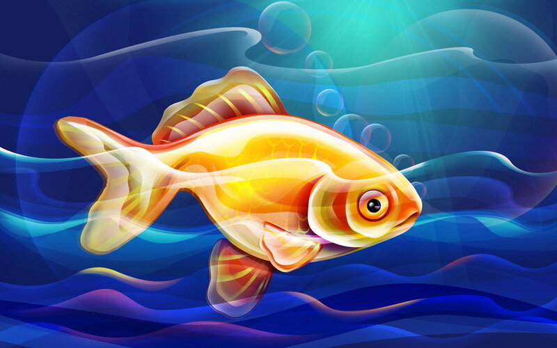 Golden fish swimming underwater
