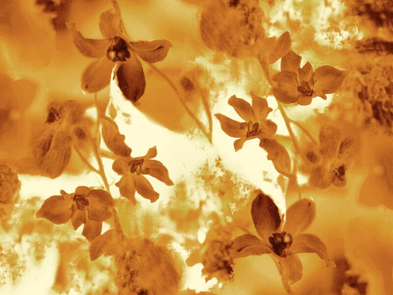 Golden floral abstract pattern
