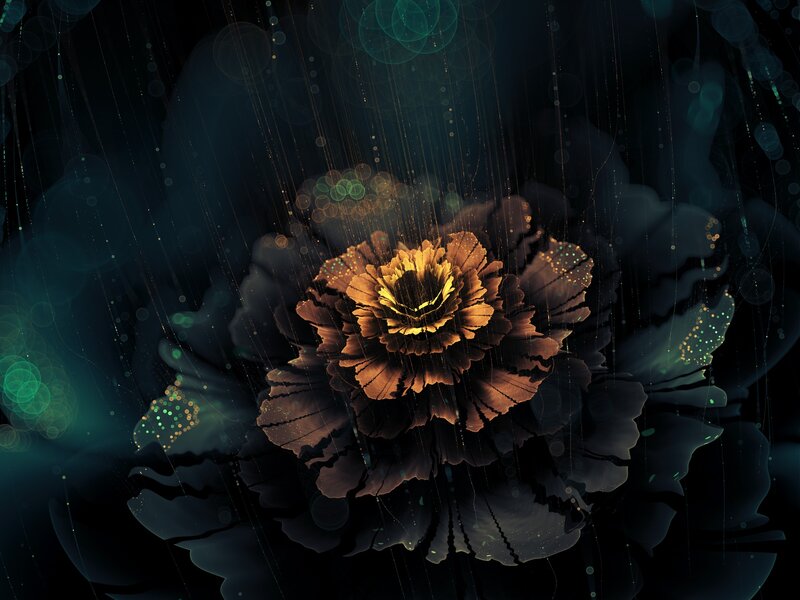 Golden Flower in Dark Space — Black, Dramatic
