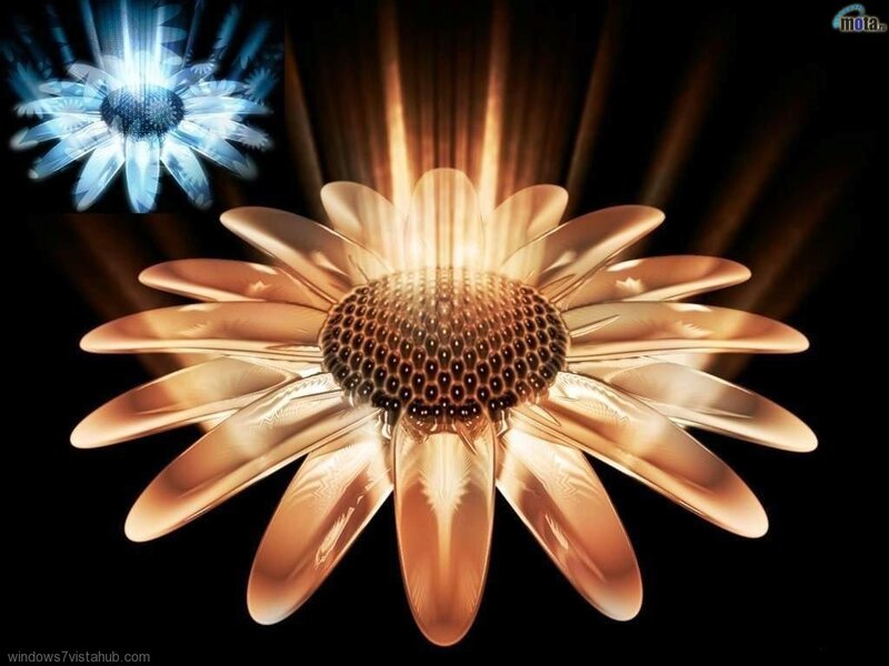 Golden Flower with Blue Counterpart