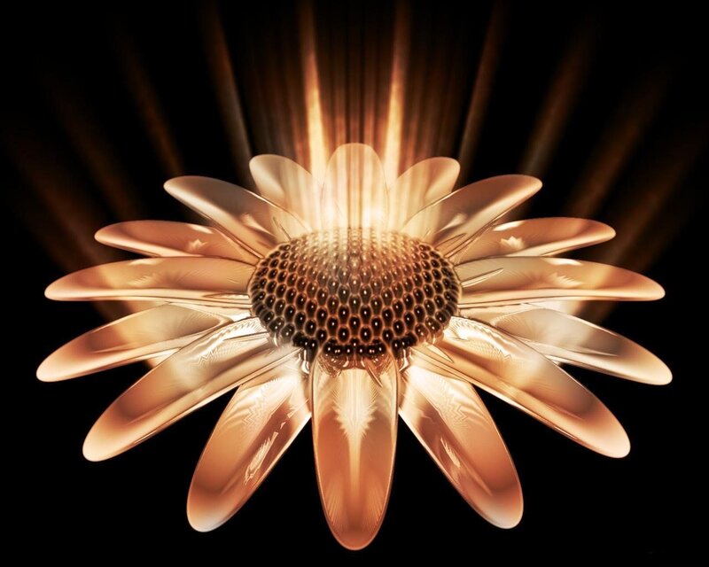 Golden Flower with Light Rays
