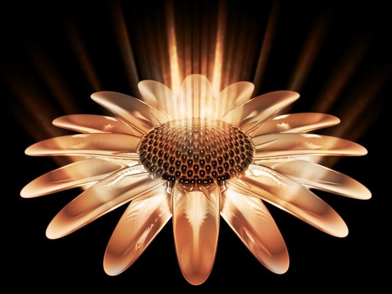 golden flower with radiant light