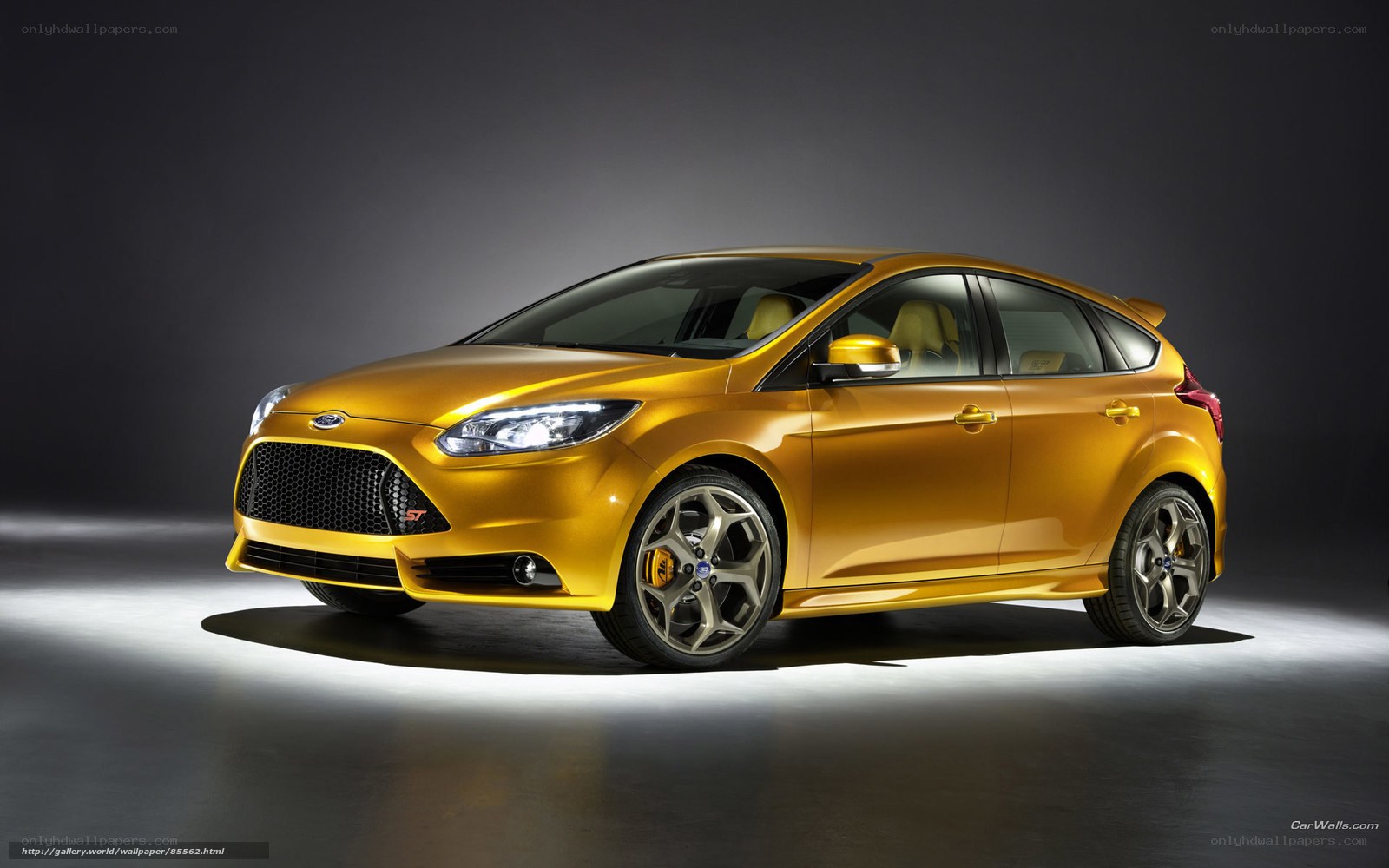 Golden Ford Focus ST