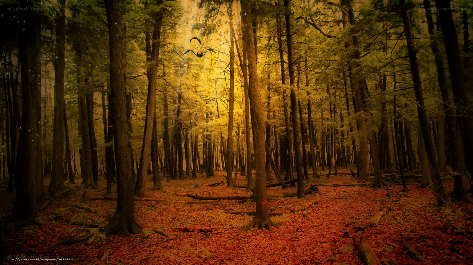 Golden forest at dusk