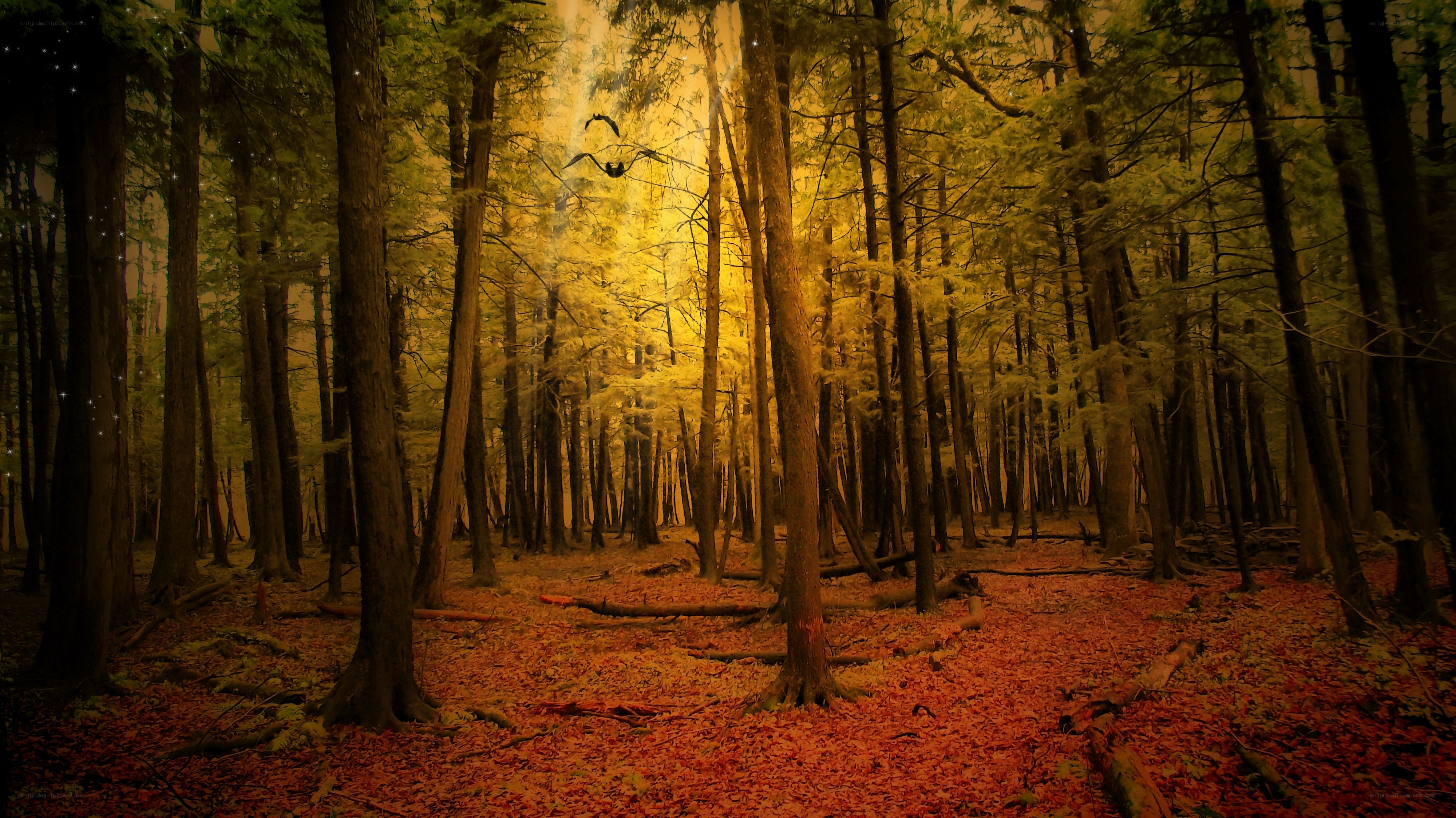 Golden forest at dusk