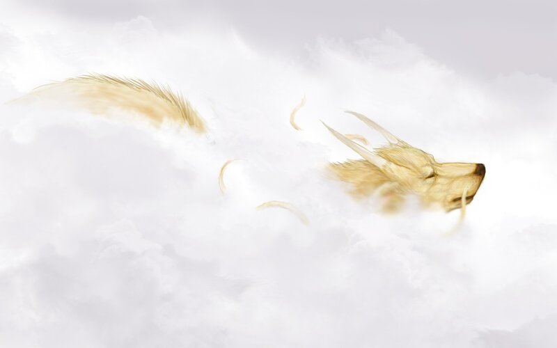 Golden Fox in Clouds