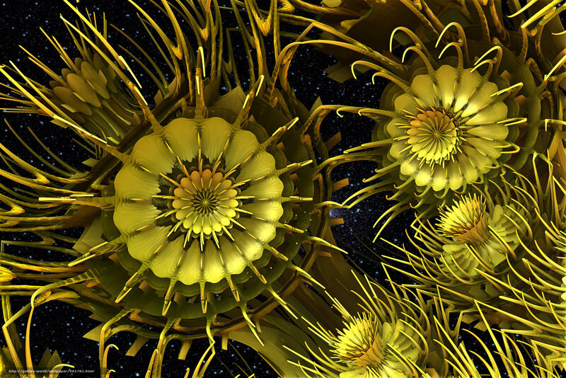 Golden fractal flowers in space