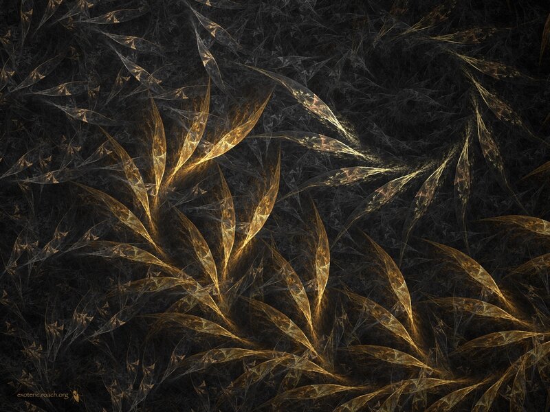 Golden Fractal Patterns — Black, Abstract