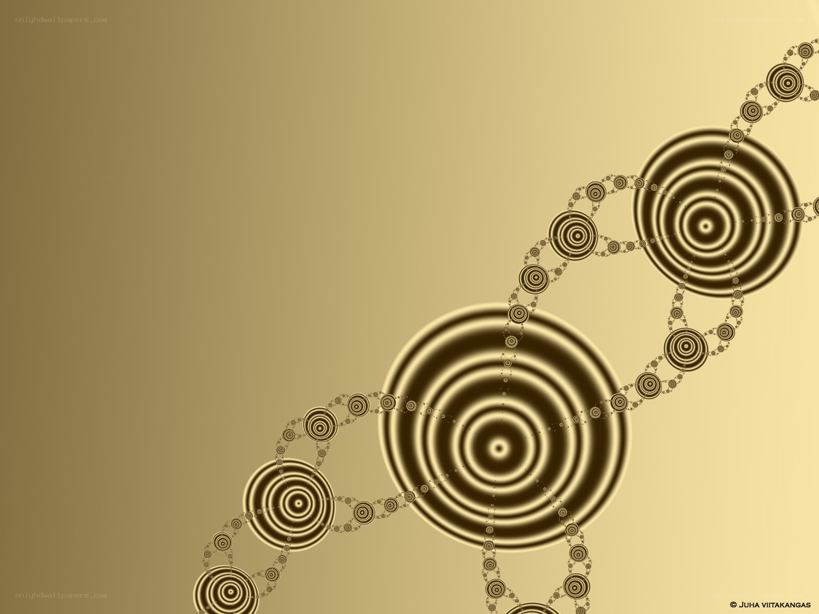 golden fractal spiral pattern