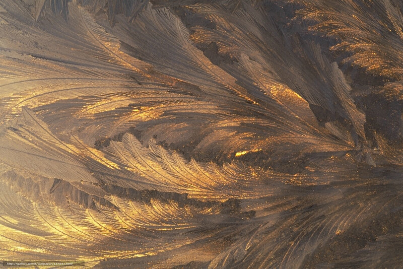 Golden frost patterns on glass