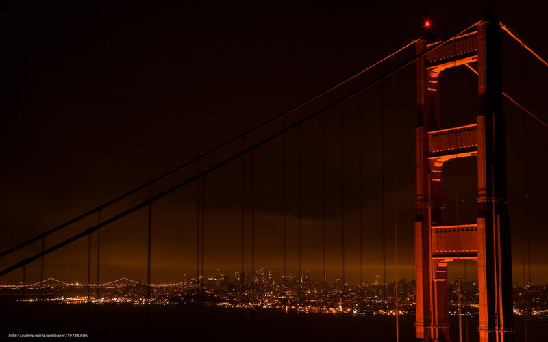 Golden Gate Bridge at Night — Black