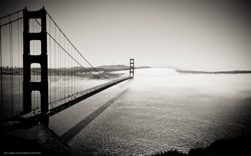 Golden Gate Bridge — Black, Dramatic, Morning, Photograph