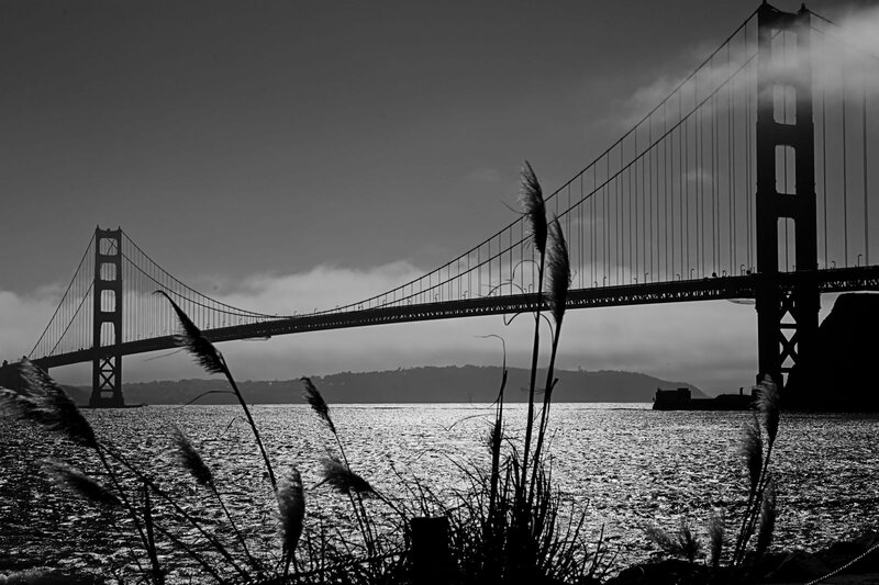 Golden Gate Bridge — Black, Dramatic, Morning, Photograph, Water