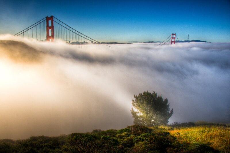 Golden Gate Bridge — Blue, Serene, Morning, Photograph, Fog