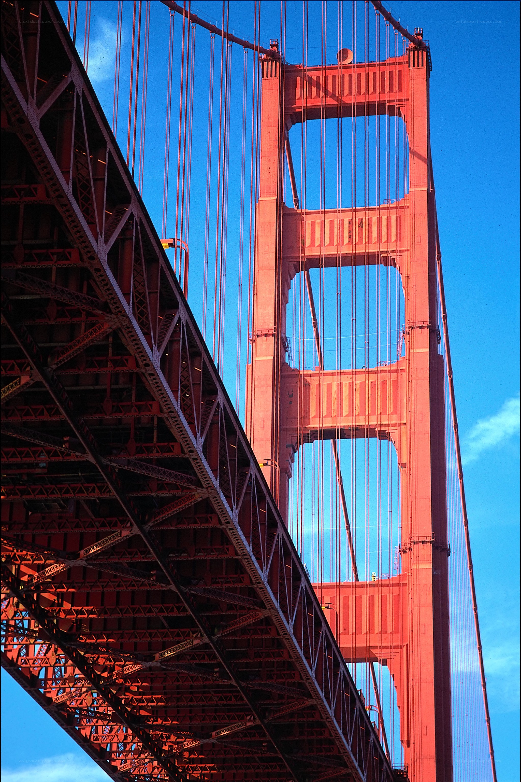 Golden Gate Bridge from below