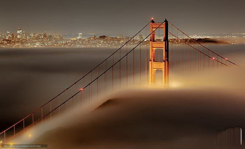 Golden Gate Bridge — Gold, Dramatic, Night