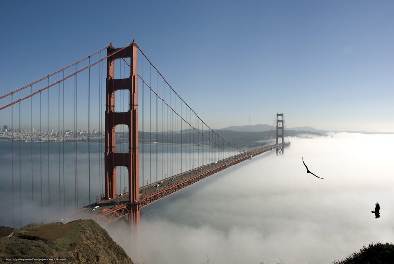 Golden Gate Bridge in fog