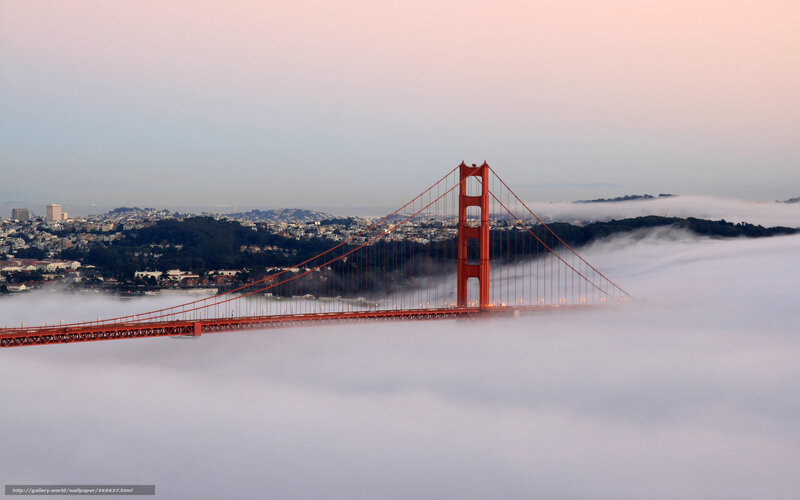 Golden Gate Bridge in fog