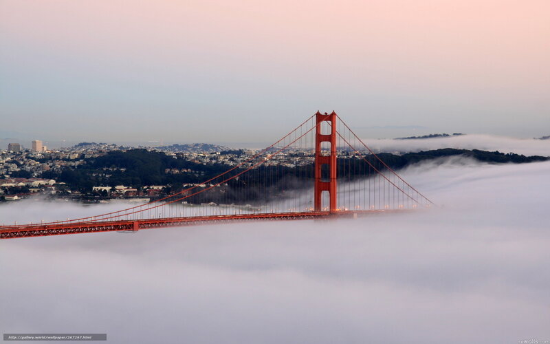Golden Gate Bridge in fog