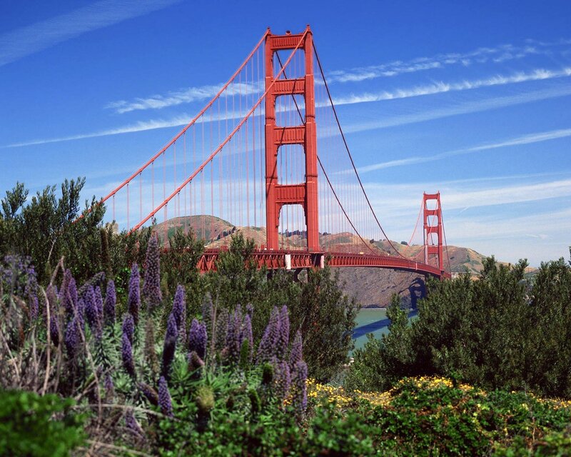 Golden Gate Bridge on a sunny day