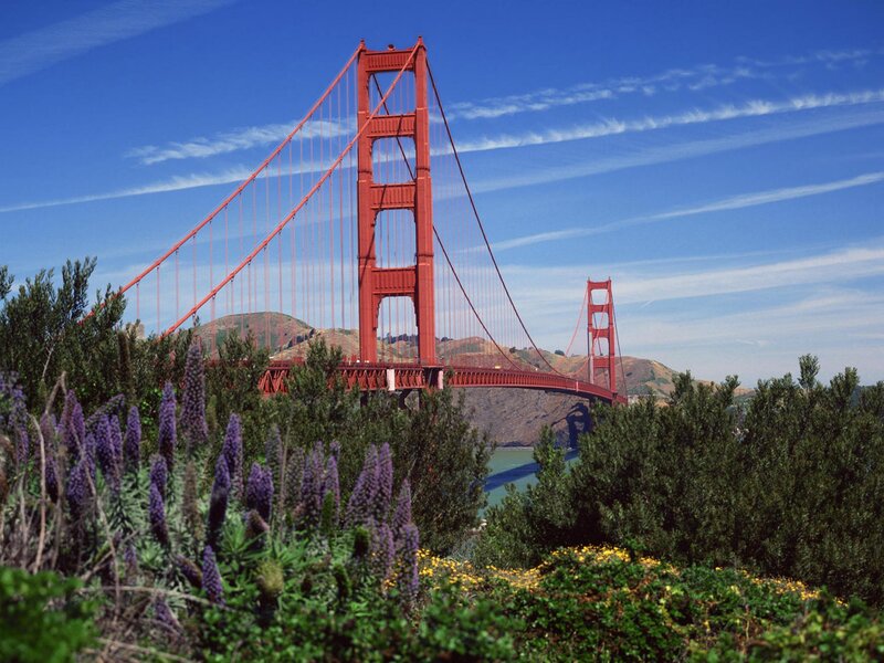 Golden Gate Bridge on a sunny day