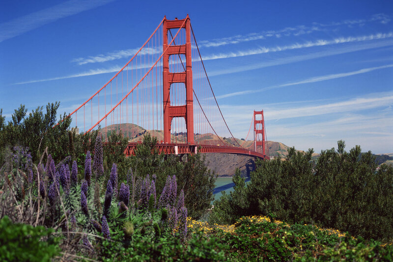 Golden Gate Bridge on a sunny day