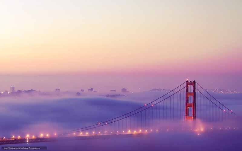 Golden Gate Bridge — Purple, Serene, Sunrise, Photograph, Fog
