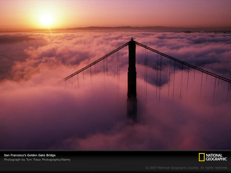 Golden Gate Bridge — Purple