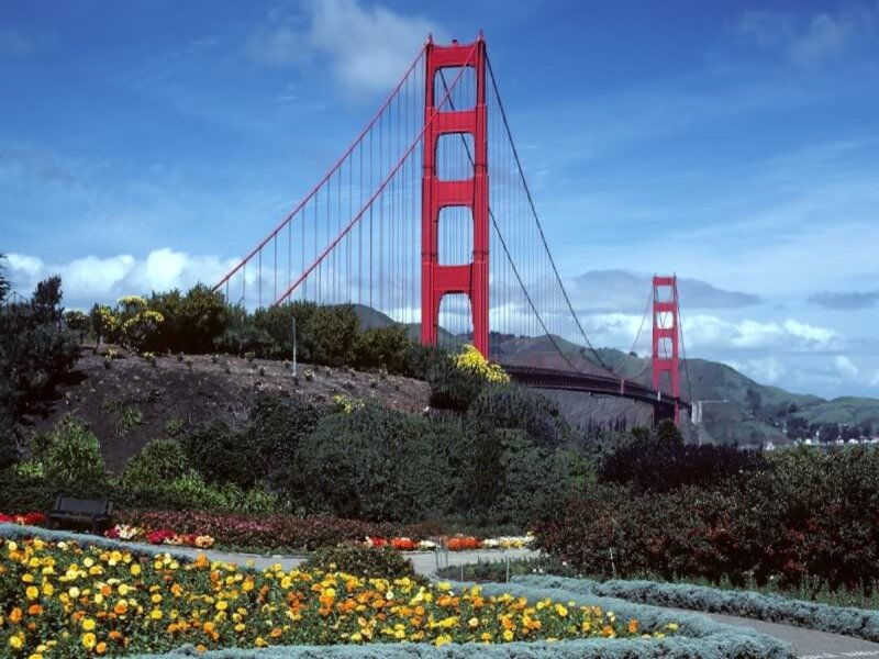 Golden Gate Bridge — Red, Serene, Afternoon, Photograph, Flowers