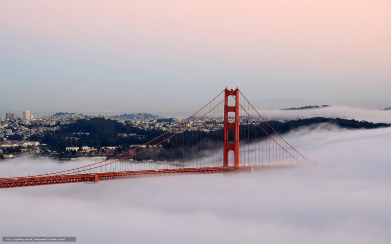 Golden Gate Bridge — Red, Serene, Morning, Photograph, City, Fog, Hills