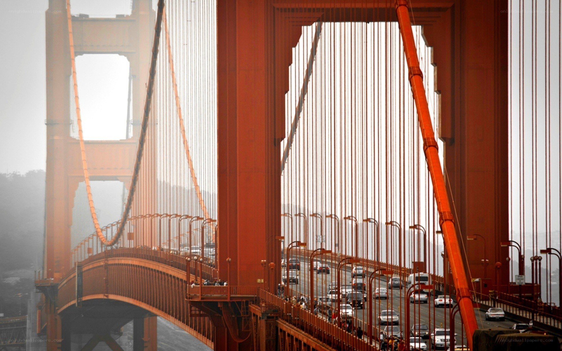 Golden Gate Bridge traffic