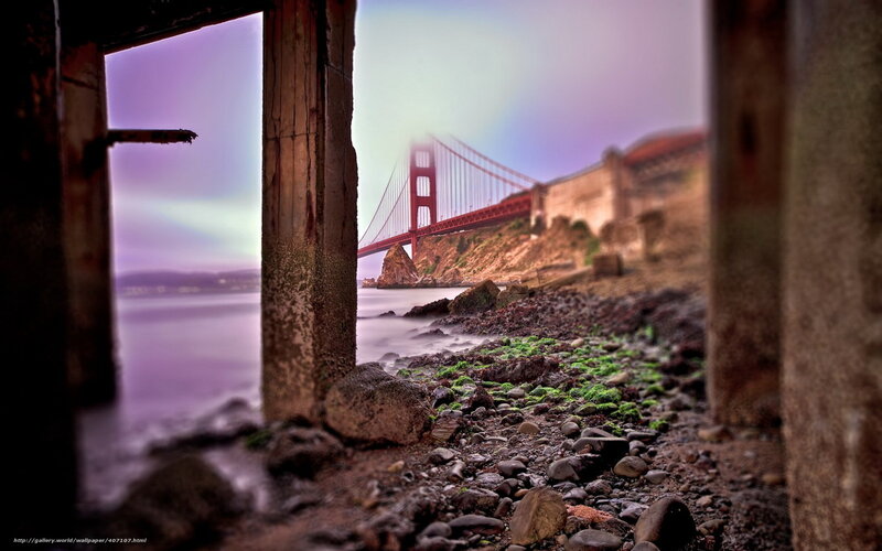 Golden Gate Bridge View — Purple