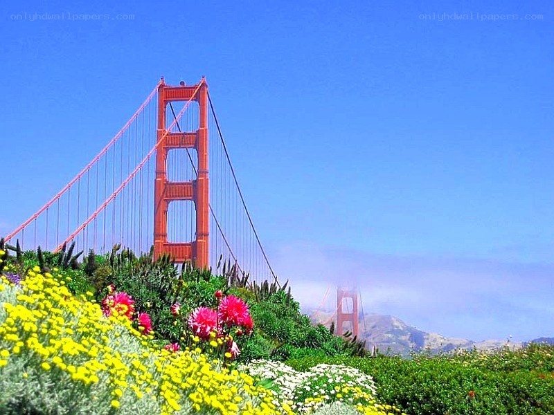 Golden Gate Bridge with flowers